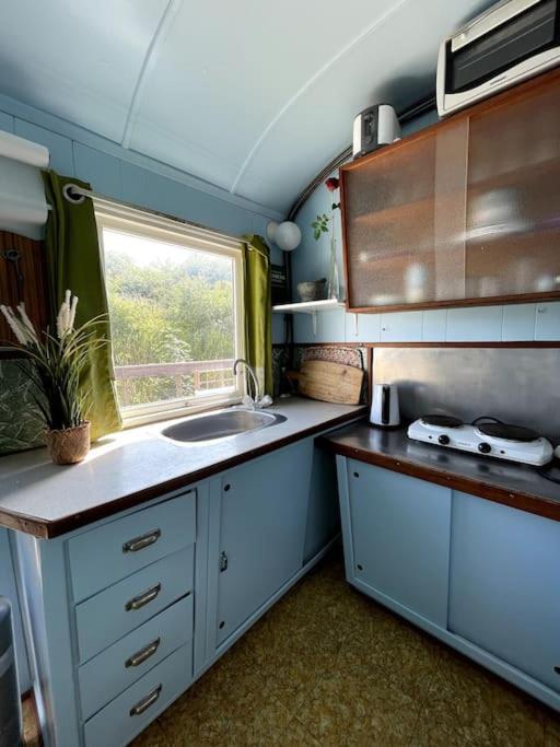 Fjordhytten. Rebuild Train Wagon From 1937. Apartment Odense Bagian luar foto
